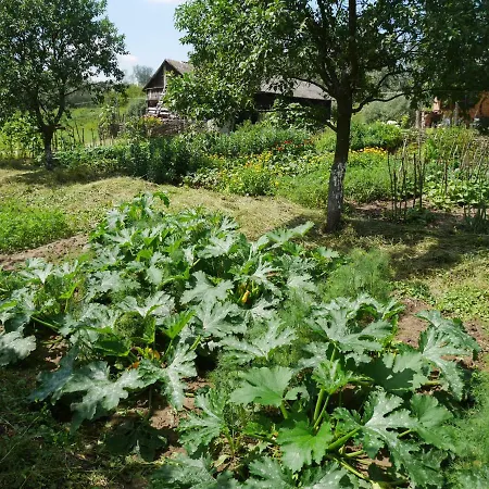 Dom wakacyjny Domek Nad Lakami. Miedzy Wisla A Kampinosem *