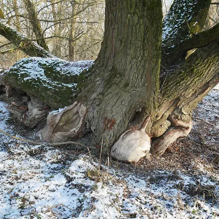 Dom wakacyjny Domek Nad Lakami. Miedzy Wisla A Kampinosem Duchowne Polski