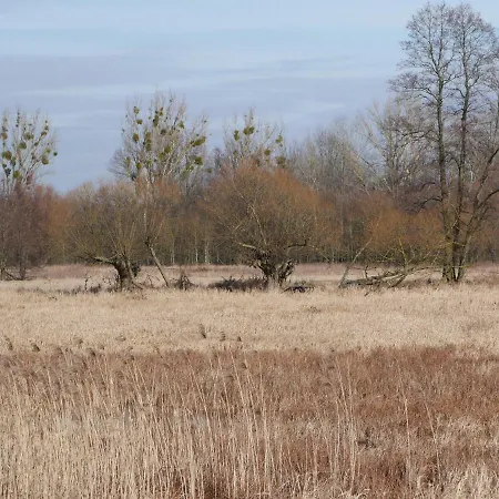 Domek Nad Lakami. Miedzy Wisla A Kampinosem Dom wakacyjny Duchowne Polski