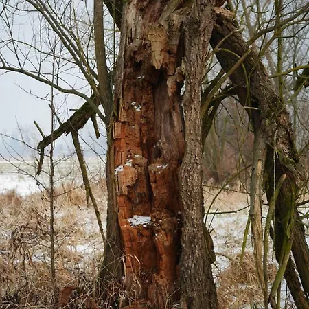 Domek Nad Lakami. Miedzy Wisla A Kampinosem *