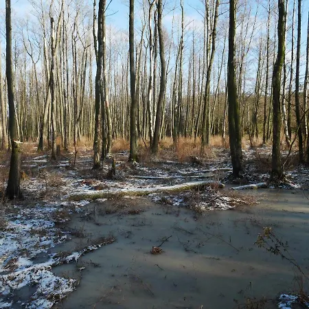 Domek Nad Lakami. Miedzy Wisla A Kampinosem Dom wakacyjny Duchowne Polski