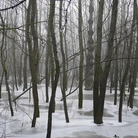 Domek Nad Lakami. Miedzy Wisla A Kampinosem * Duchowne Polski