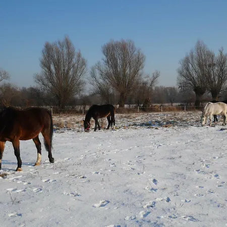 Domek Nad Lakami. Miedzy Wisla A Kampinosem
