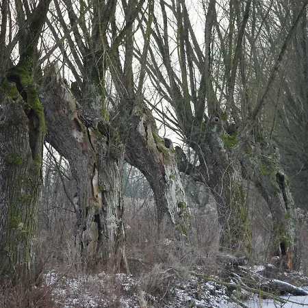 Dom wakacyjny Domek Nad Lakami. Miedzy Wisla A Kampinosem