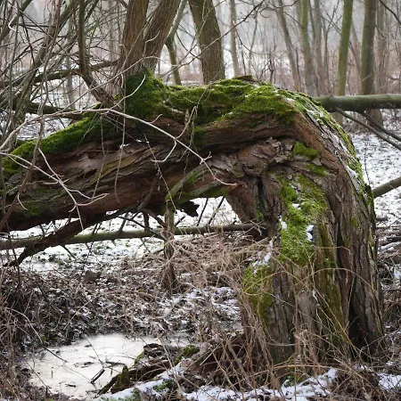 Domek Nad Lakami. Miedzy Wisla A Kampinosem Duchowne Polski