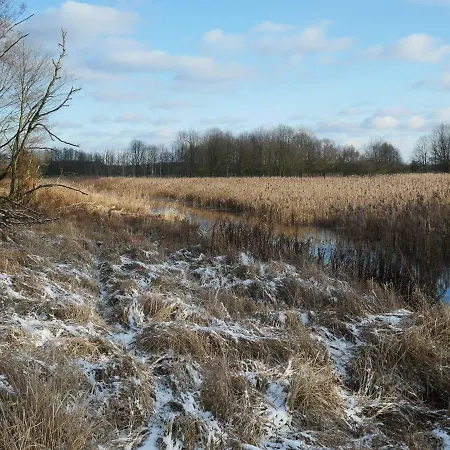 Domek Nad Lakami. Miedzy Wisla A Kampinosem