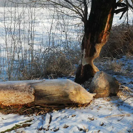 Dom wakacyjny Domek Nad Lakami. Miedzy Wisla A Kampinosem *