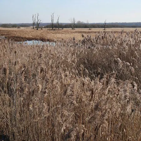 Dom wakacyjny Domek Nad Lakami. Miedzy Wisla A Kampinosem *