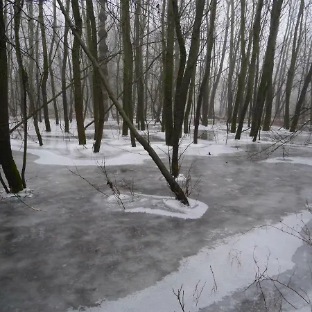 Domek Nad Lakami. Miedzy Wisla A Kampinosem *