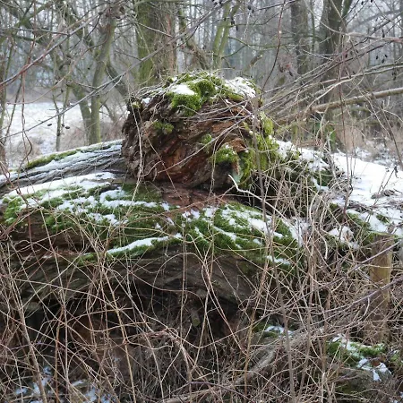 Domek Nad Lakami. Miedzy Wisla A Kampinosem