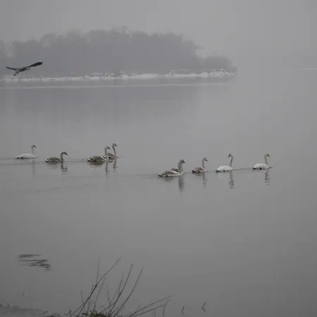 Domek Nad Lakami. Miedzy Wisla A Kampinosem *