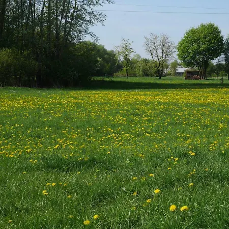 Domek Nad Lakami. Miedzy Wisla A Kampinosem *