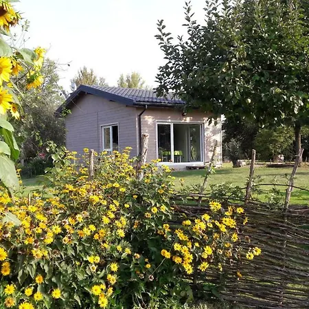 Dom wakacyjny Domek Nad Lakami. Miedzy Wisla A Kampinosem