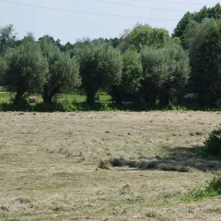 Domek Nad Lakami. Miedzy Wisla A Kampinosem *