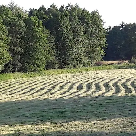 Domek Nad Lakami. Miedzy Wisla A Kampinosem *