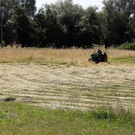 Dom wakacyjny Domek Nad Lakami. Miedzy Wisla A Kampinosem *